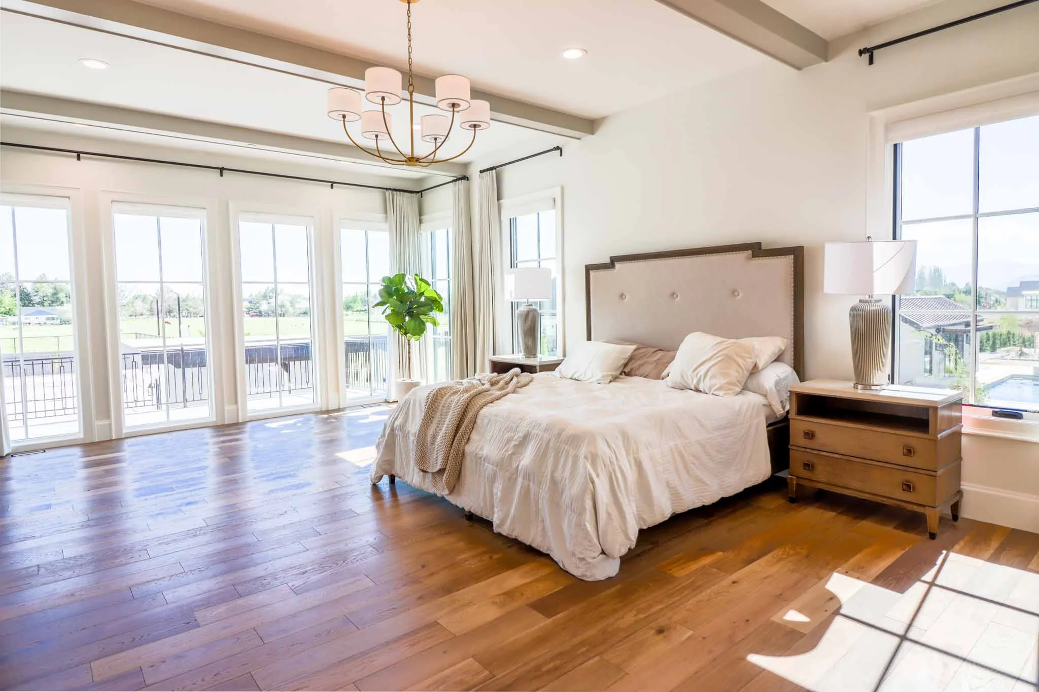 Premium listing photo 5
